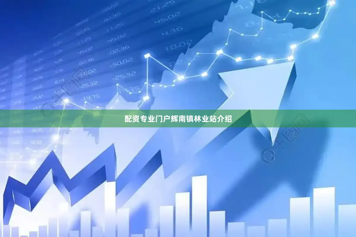 配资专业门户　　辉南镇林业站介绍