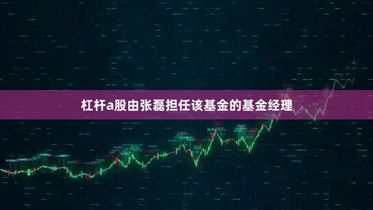 杠杆a股由张磊担任该基金的基金经理