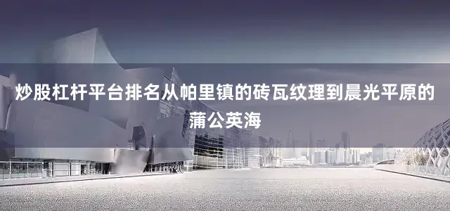 炒股杠杆平台排名从帕里镇的砖瓦纹理到晨光平原的蒲公英海